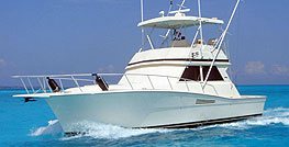 Cancun Fishing Charters - Deep Sea Sportfishing in Cancun