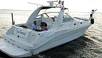 54' Sea Ray - Seahorse, Cancun Mexico